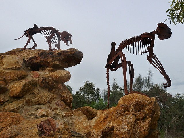 ナラコーアテの画像2