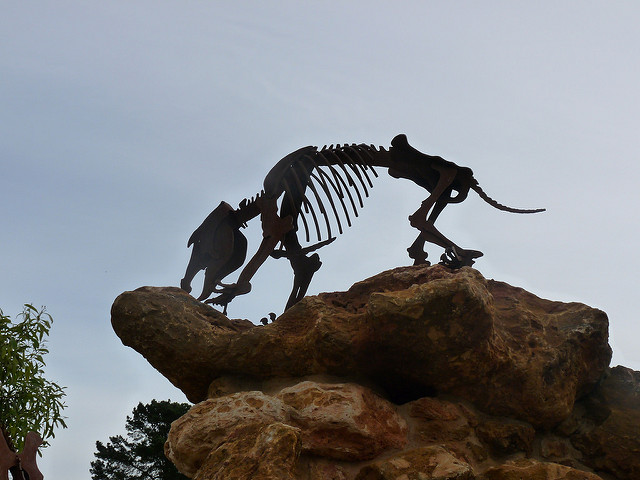 ナラコーアテの画像3