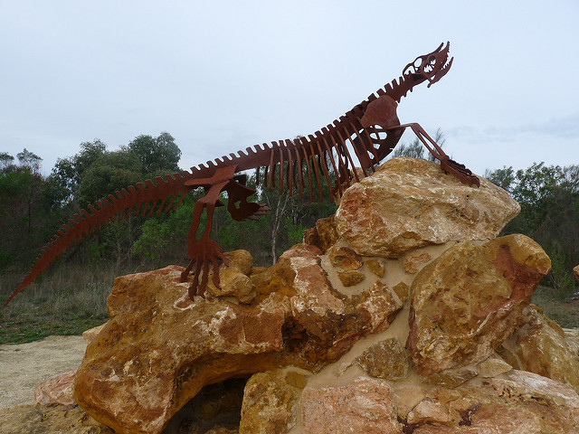 ナラコーアテの画像5