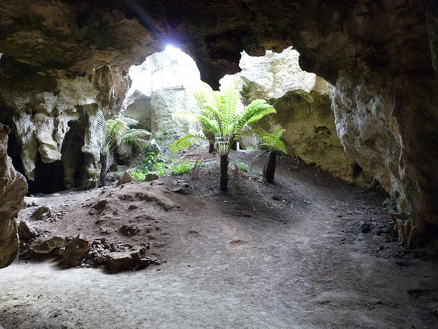 ナラコーアテの画像7