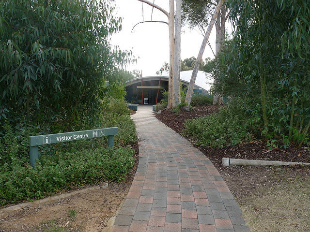 ナラコーアテの画像9