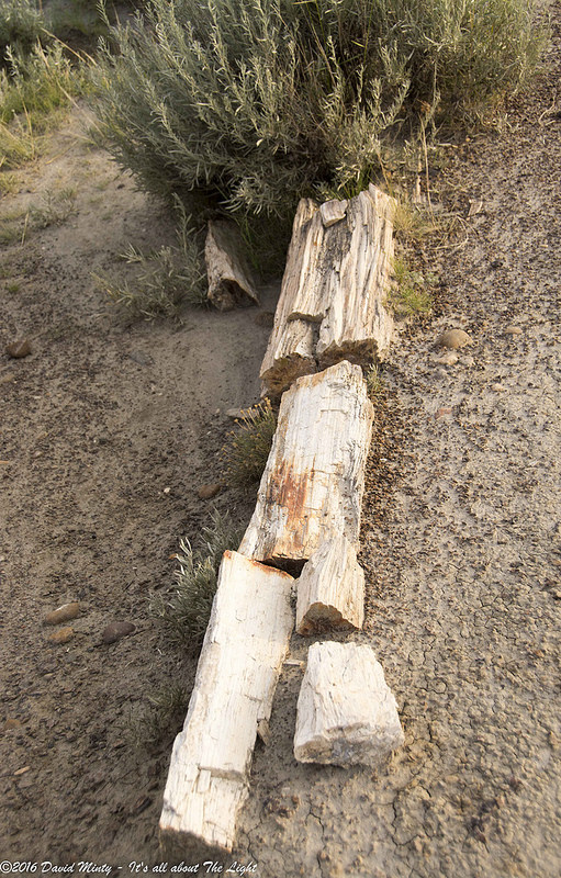 ダイナソール州立自然公園の画像3