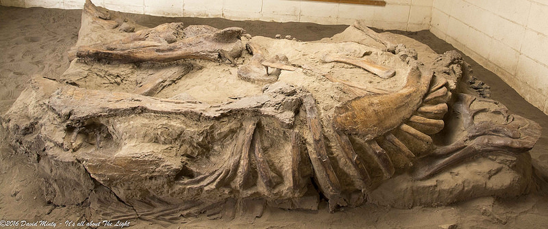 ダイナソール州立自然公園の画像4