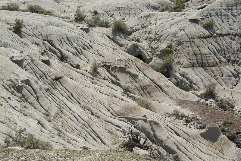 ダイナソール州立自然公園の画像13