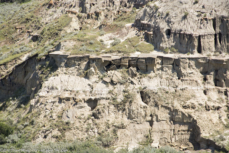 ダイナソール州立自然公園の画像17