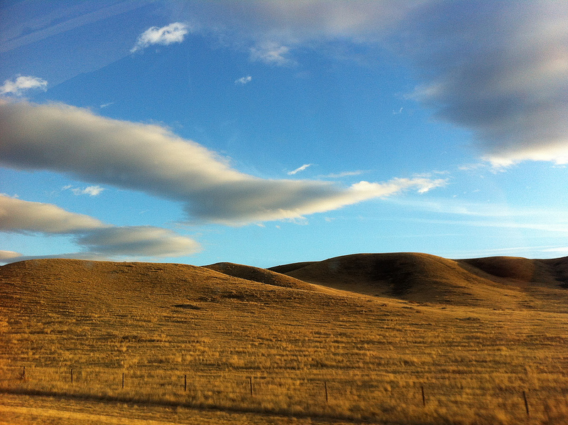 ダイナソール州立自然公園の画像19