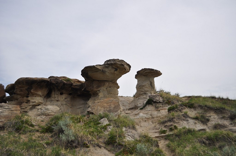 ダイナソール州立自然公園の画像22