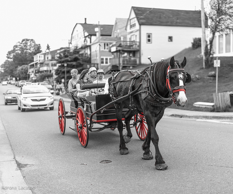 ルーネンバーグ旧市街の画像4