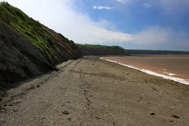 ジョギンズ化石断崖の画像4