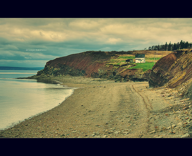 ジョギンズ化石断崖の画像5