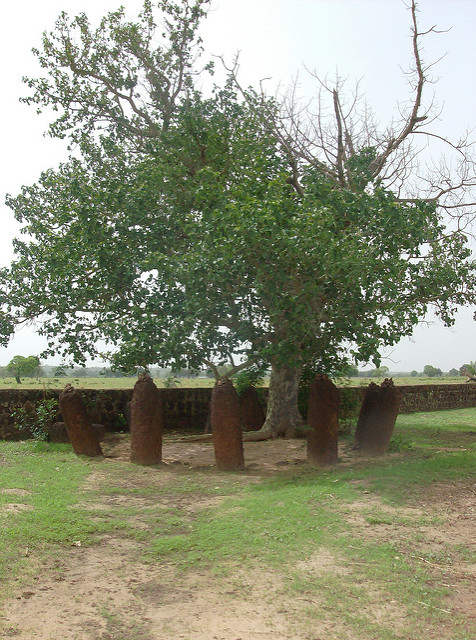 ケルバチの画像6