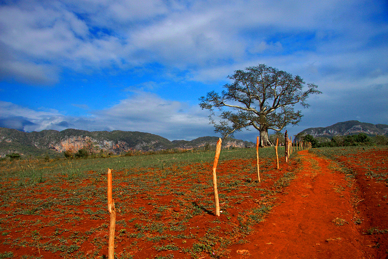 ビニャーレス渓谷の画像10