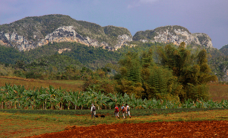 ビニャーレス渓谷の画像11