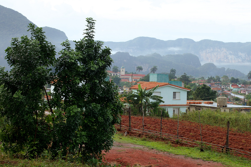 ビニャーレス渓谷の画像15