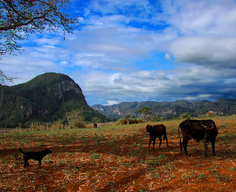 ビニャーレス渓谷の画像18