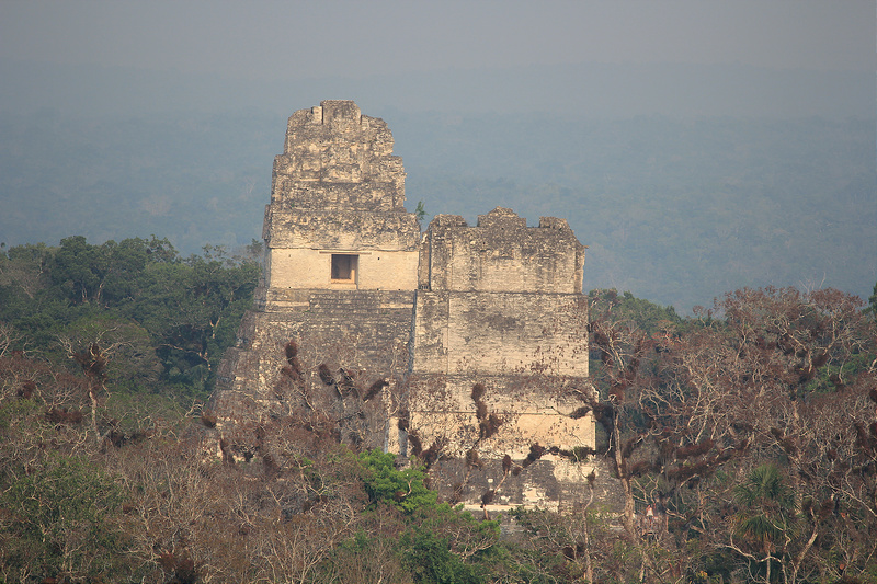 ティカル国立公園の画像3