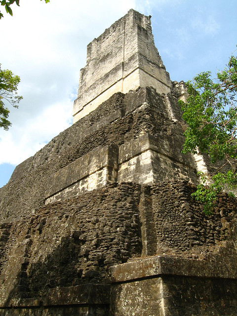 ティカル国立公園の画像9