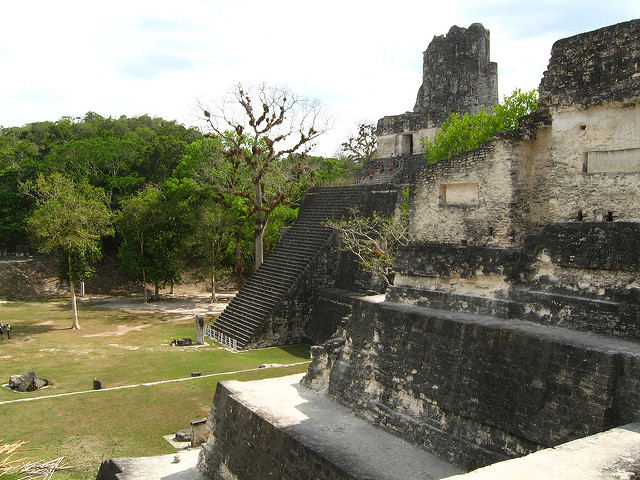ティカル国立公園の画像20