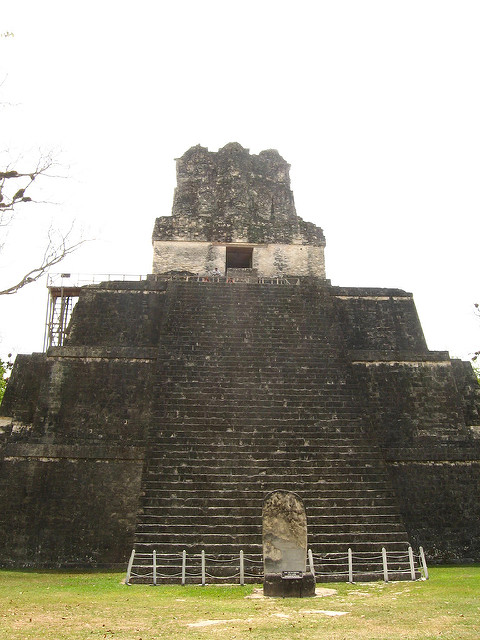ティカル国立公園の画像23