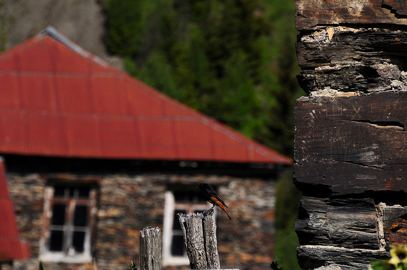 上スヴァネティの画像13