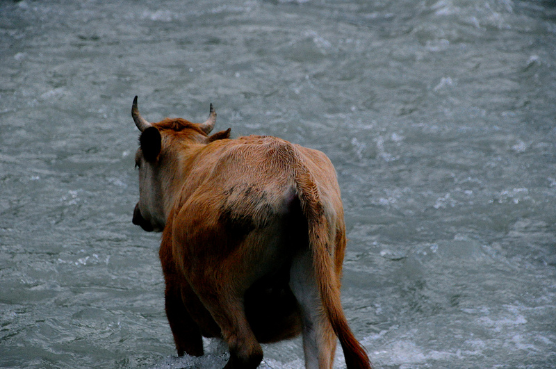 上スヴァネティの画像16