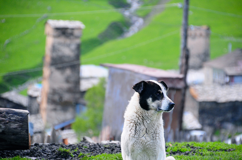 上スヴァネティの画像18
