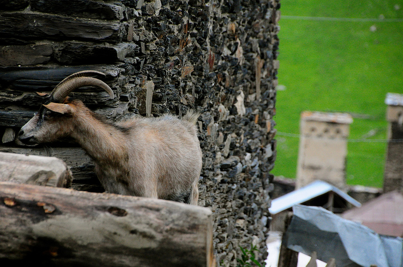 上スヴァネティの画像25