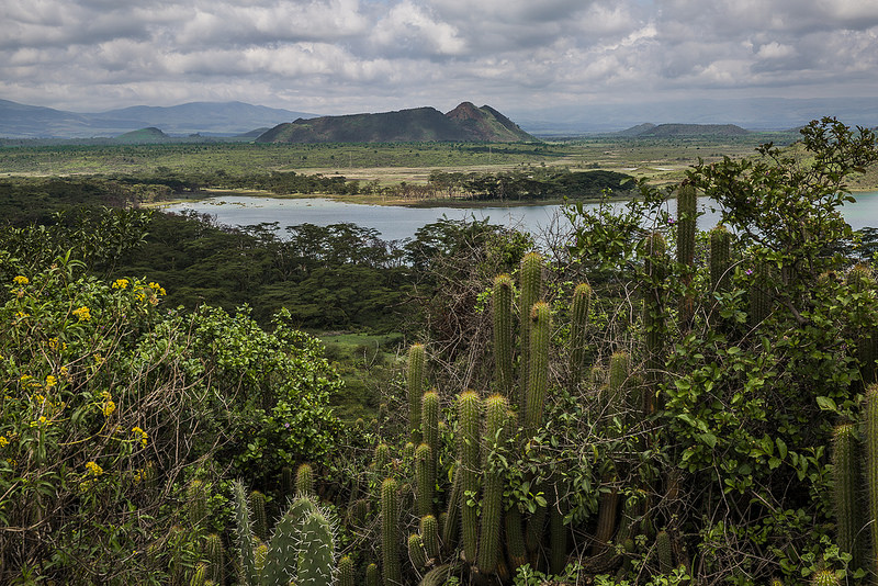 エレメンタイタ湖の画像8