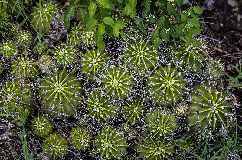 エレメンタイタ湖の画像9