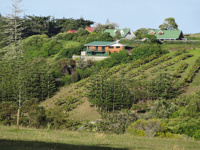 ココ島国立公園の画像2