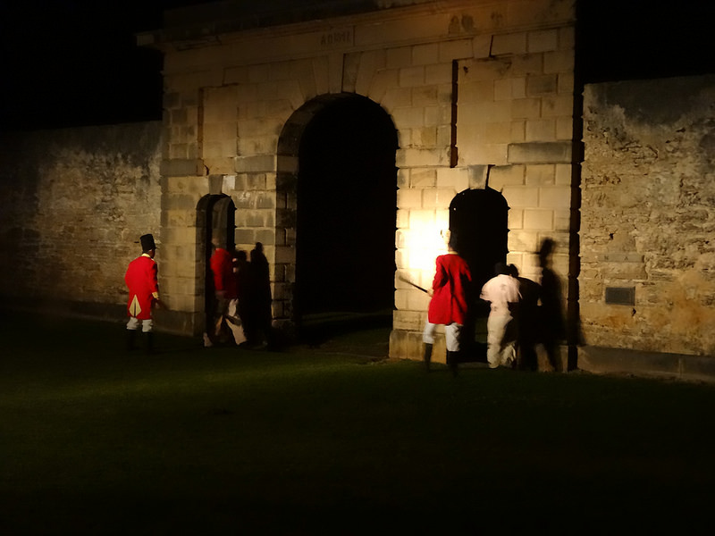 ココ島国立公園の画像10