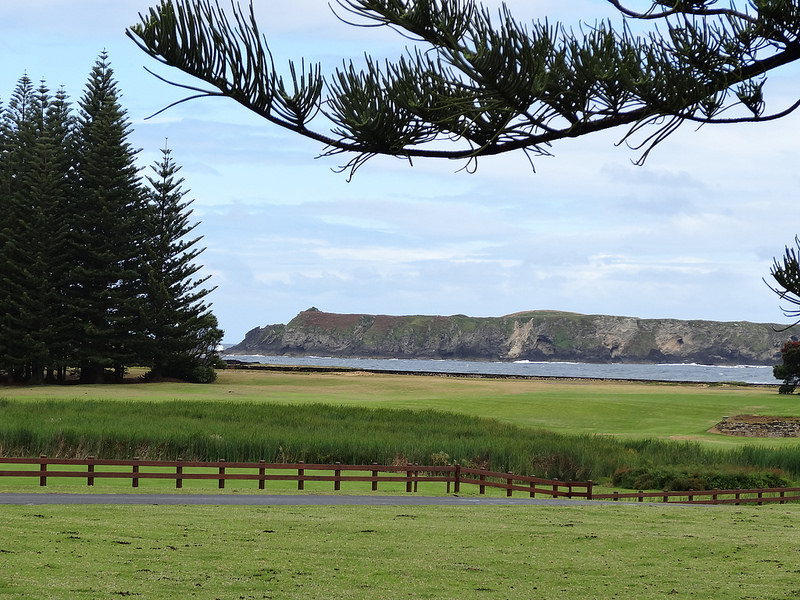 ココ島国立公園の画像21