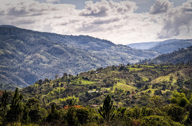 サン・アグスティン遺跡公園の画像14