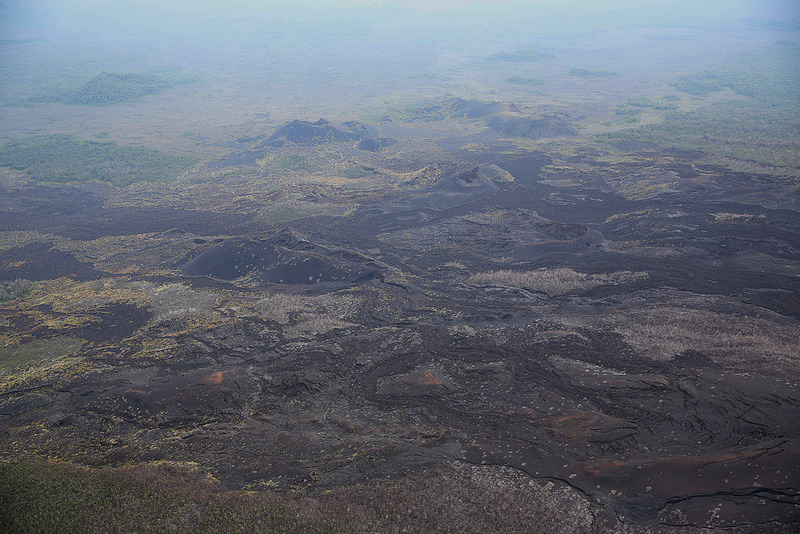 ヴィルンガ国立公園の画像11