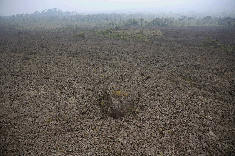 ヴィルンガ国立公園の画像13