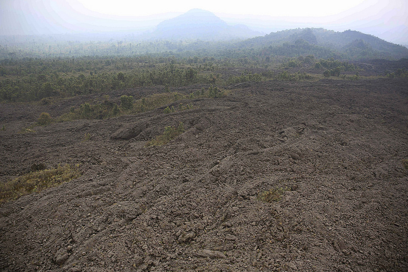 ヴィルンガ国立公園の画像14