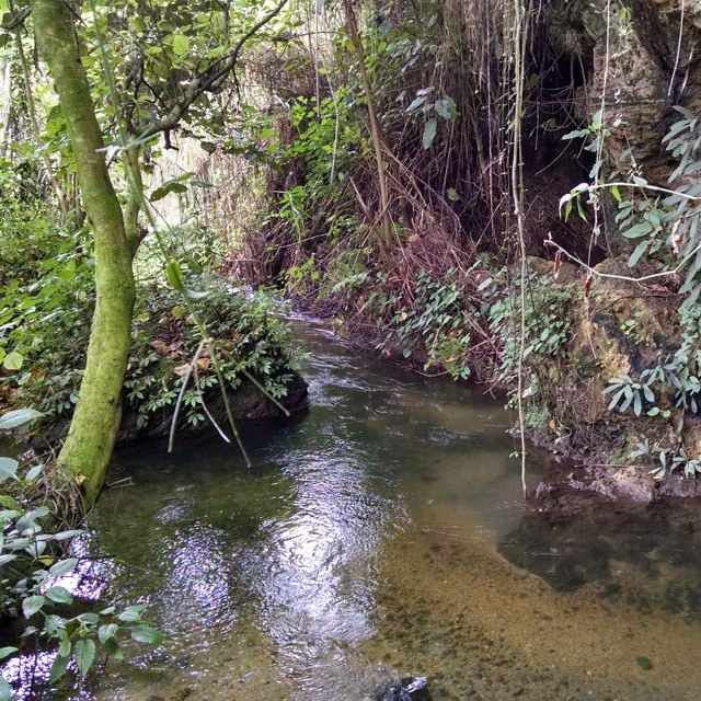 ヴィルンガ国立公園の画像23