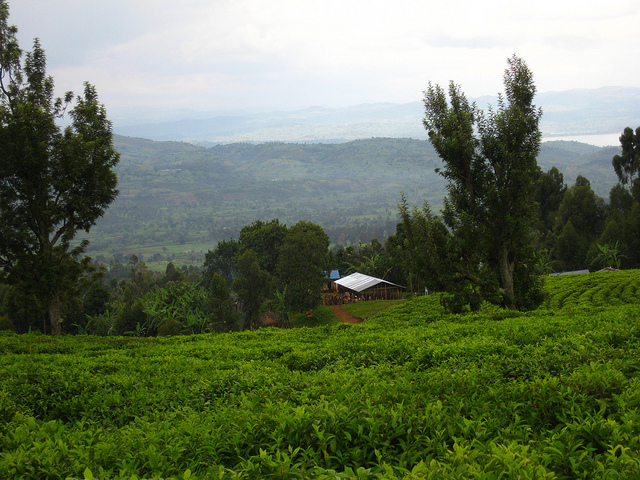 カフジ-ビエガ国立公園の画像2