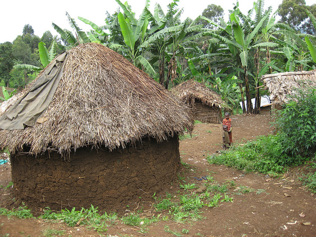 カフジ-ビエガ国立公園の画像3