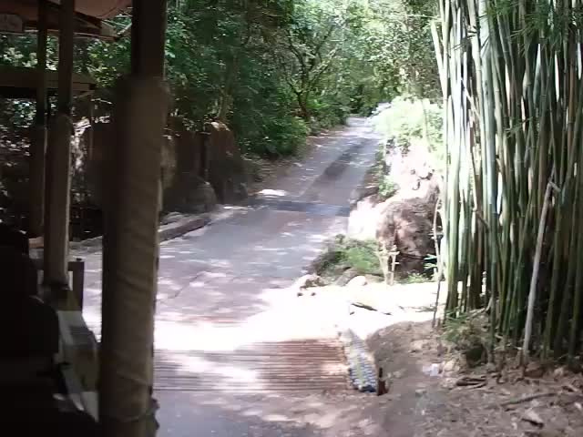 オカピ野生生物保護区　の画像3