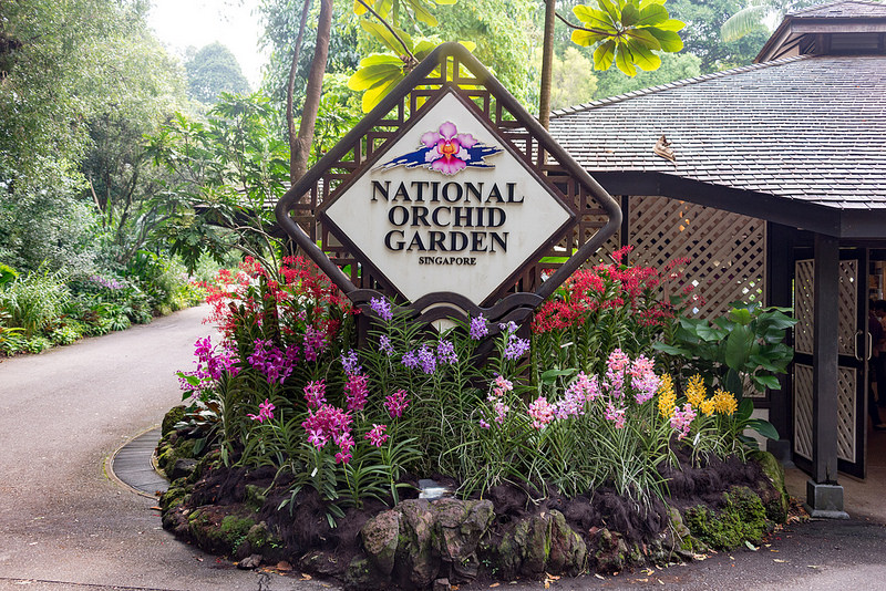 シンガポール植物園の画像22