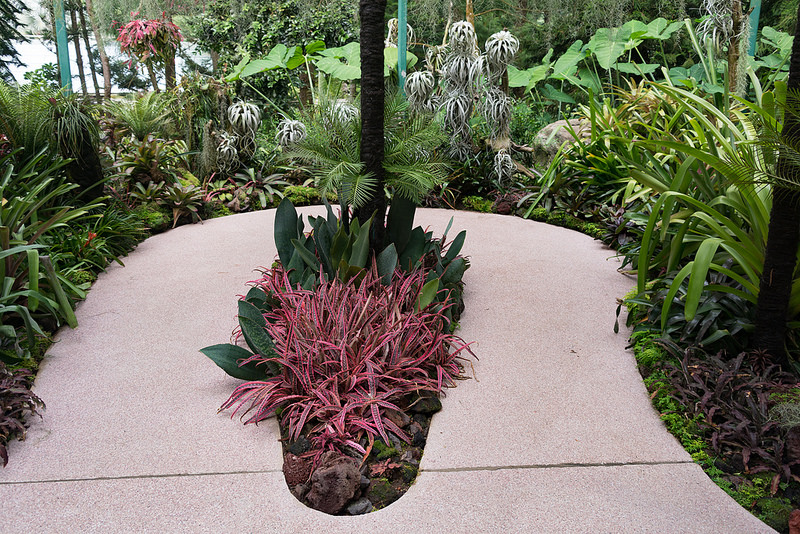 シンガポール植物園の画像23