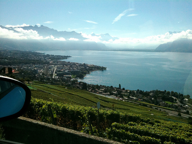 ラヴォー地区の葡萄畑の画像8