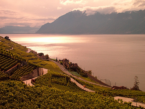 ラヴォー地区の葡萄畑の画像14