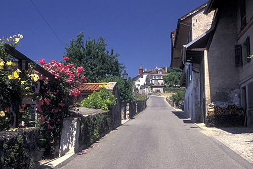 ラヴォー地区の葡萄畑の画像16
