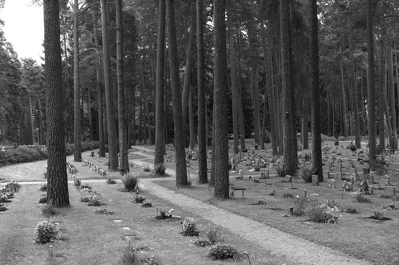 スクーグシュルコゴーデンの画像3