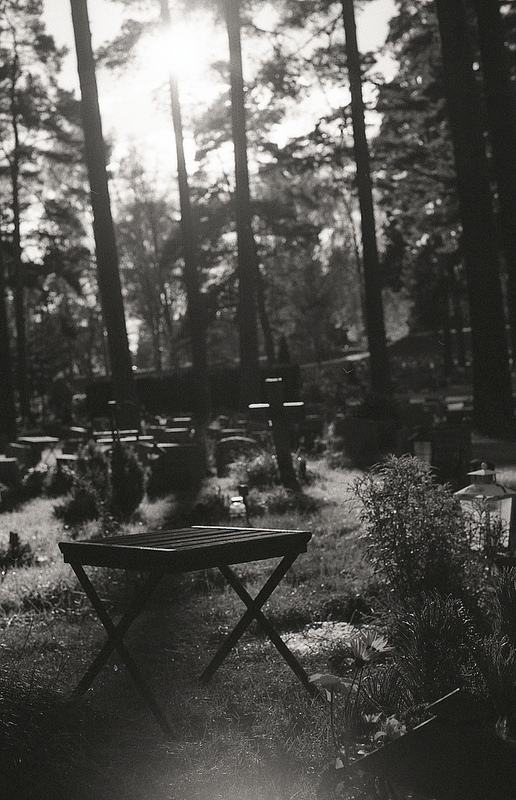 スクーグシュルコゴーデンの画像7