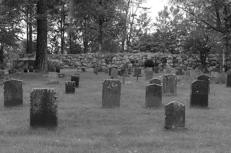 スクーグシュルコゴーデンの画像10