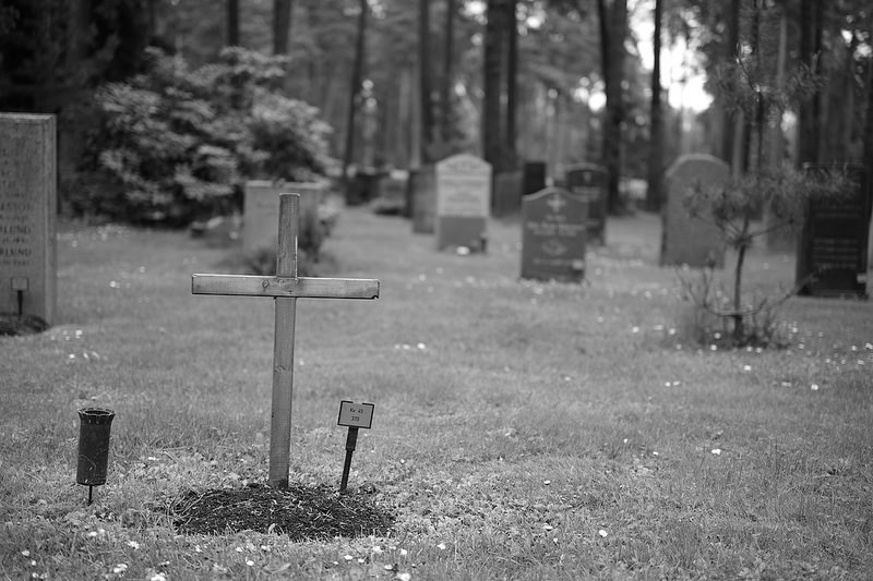 スクーグシュルコゴーデンの画像11