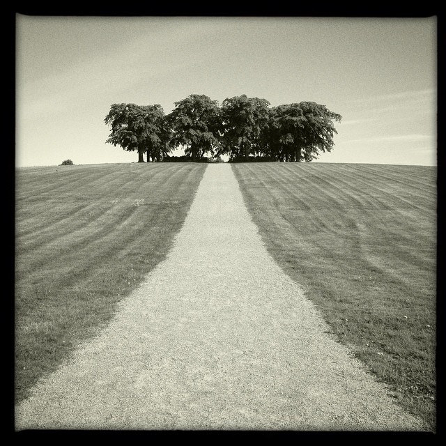 スクーグシュルコゴーデンの画像15